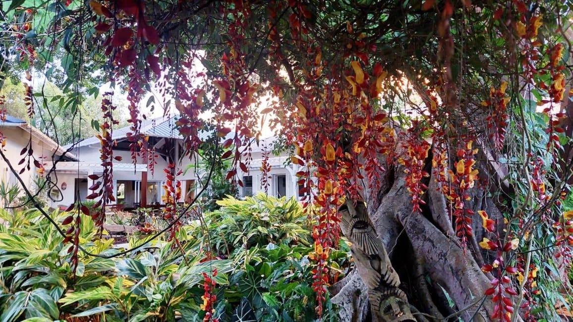 Tree Lodge Mauritius Belle Mare Eksteriør billede