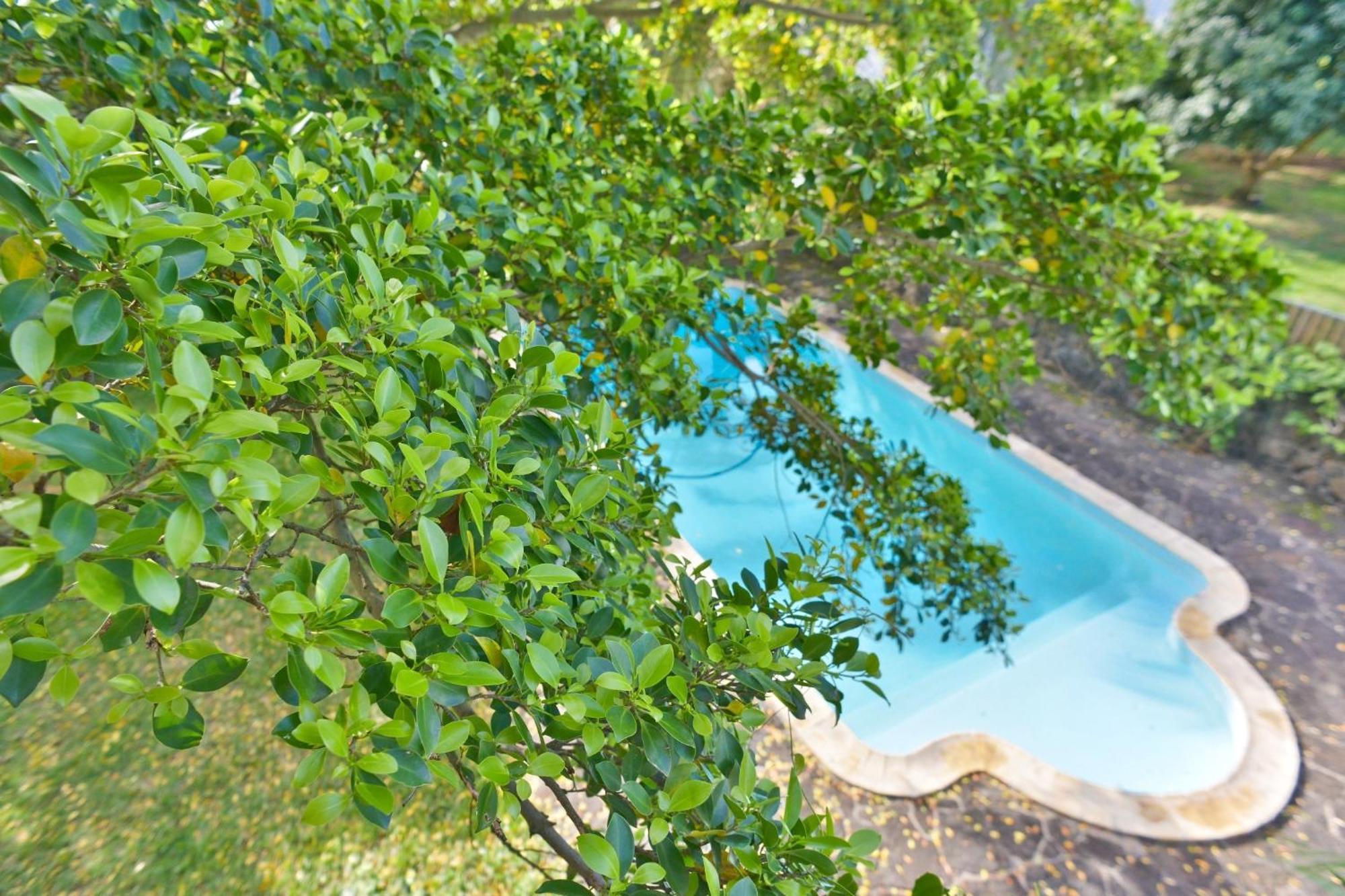 Tree Lodge Mauritius Belle Mare Eksteriør billede